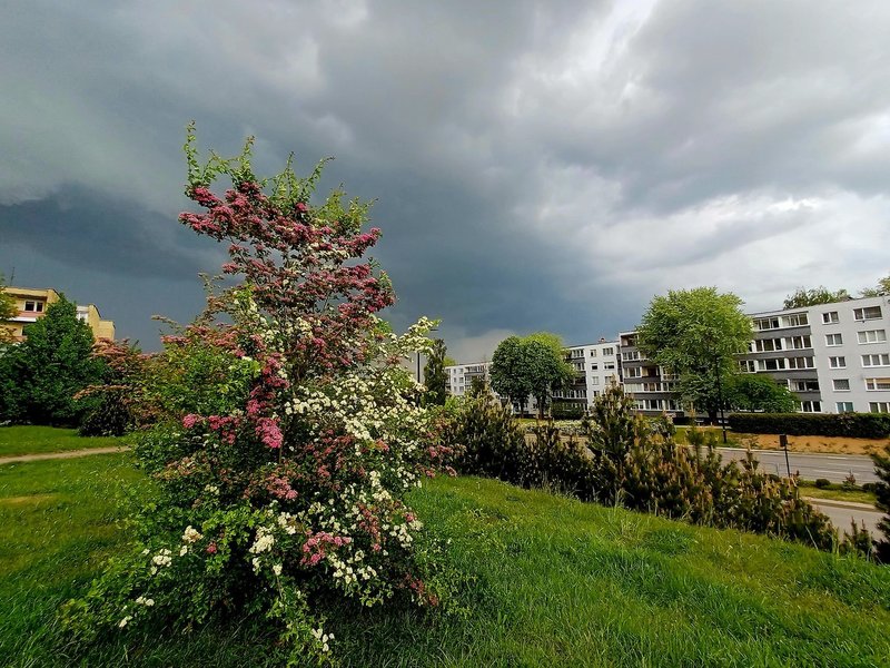 Alytų užtemdę debesys (nuotr. Vilija Dulevičienė)   9