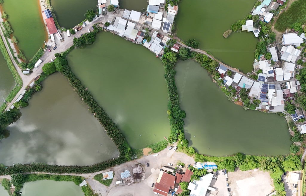 A view of a fish pond in San Tin, the site of a 300-hectare international innovation and technology (I&T) hub envisioned by the government. Photo: Edmond So