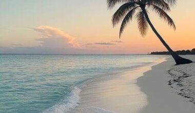 Monday Morning M'thread [15/9/25] have a wonderful day!
