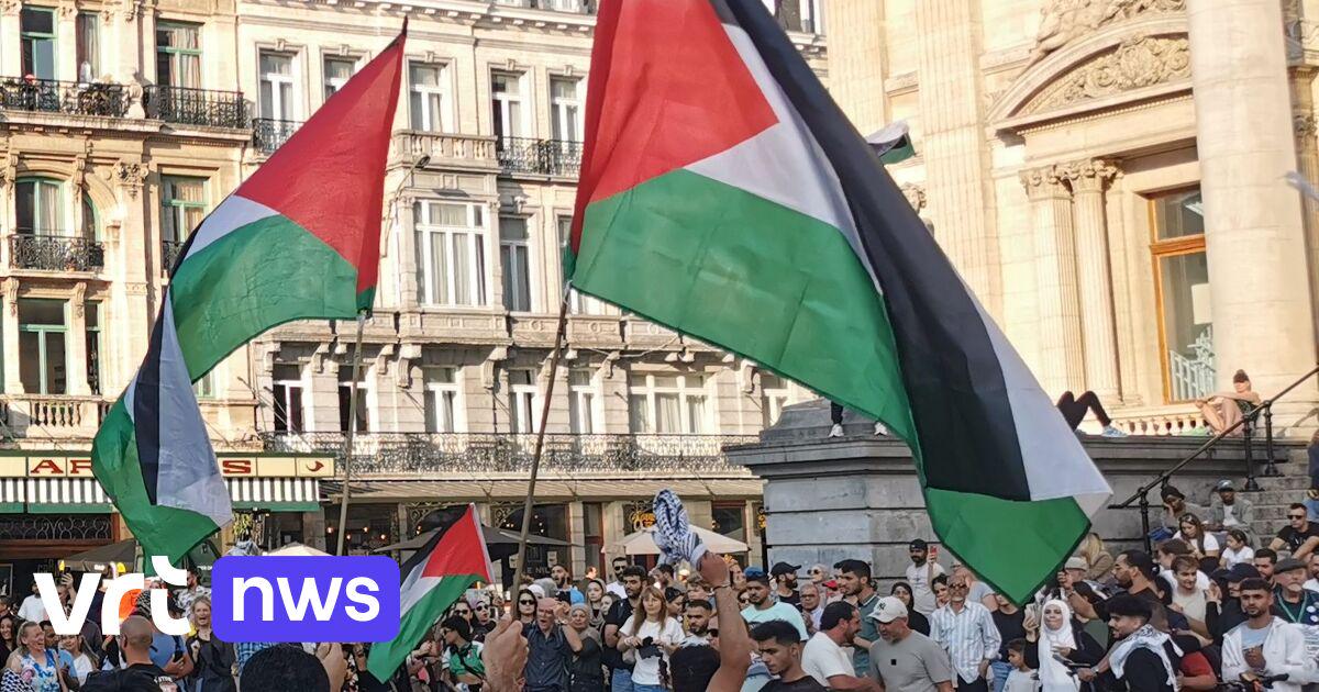 4 pro-Palestijnse betogers naar gesloten terugkeercentrum gebracht: "Verstoorden de openbare orde" | VRT NWS: nieuws