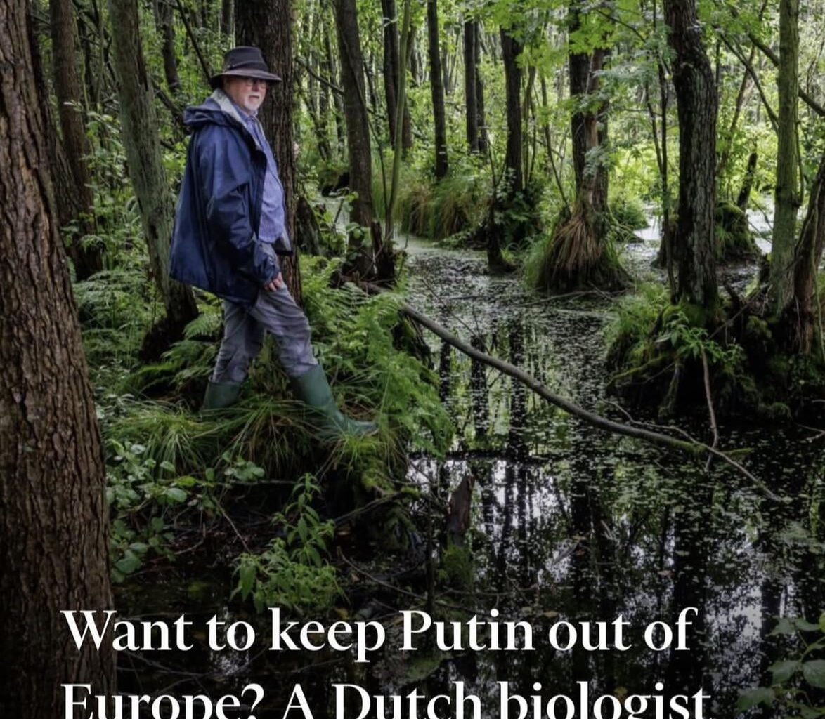 MESA: Make Europe Swamp Again