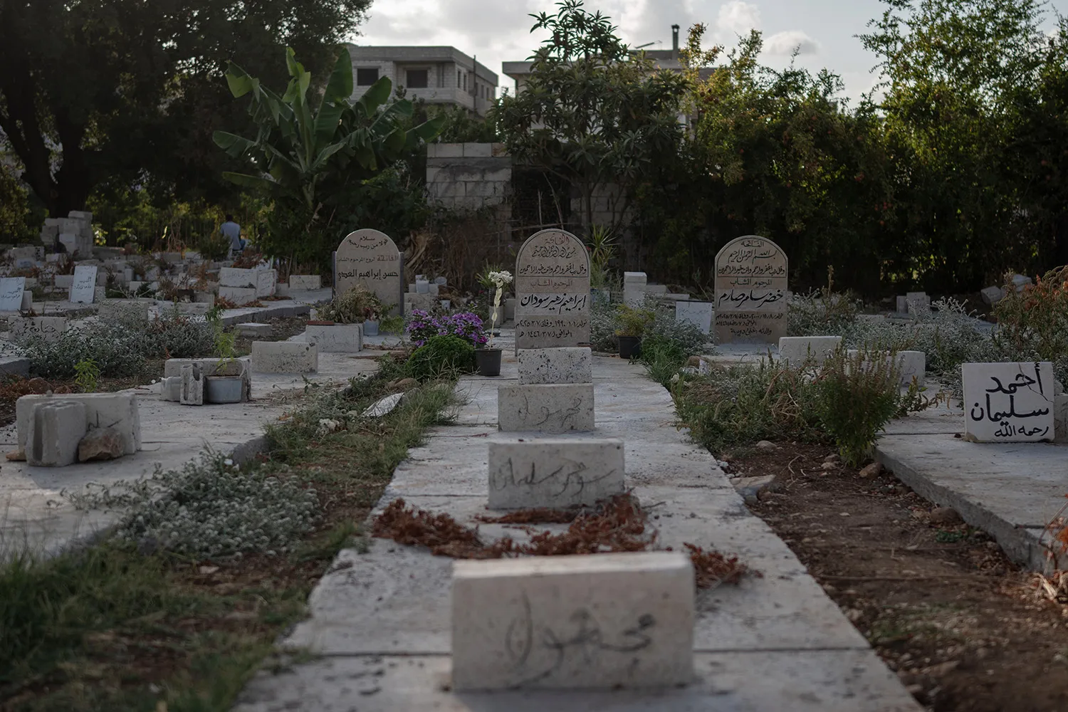 Rows of graves with Arabic script on them and greenery and buildings in the distance.