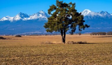 Sú traja a predávajú Slovensko cudzincom. Rakúšania verili, že sú stále v Rakúsku, hovoria