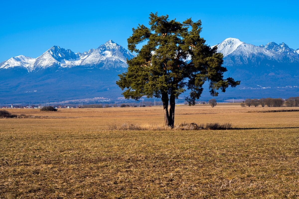 Sú traja a predávajú Slovensko cudzincom. Rakúšania verili, že sú stále v Rakúsku, hovoria