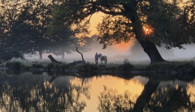 A perfect evening walk to see off the weekend.
