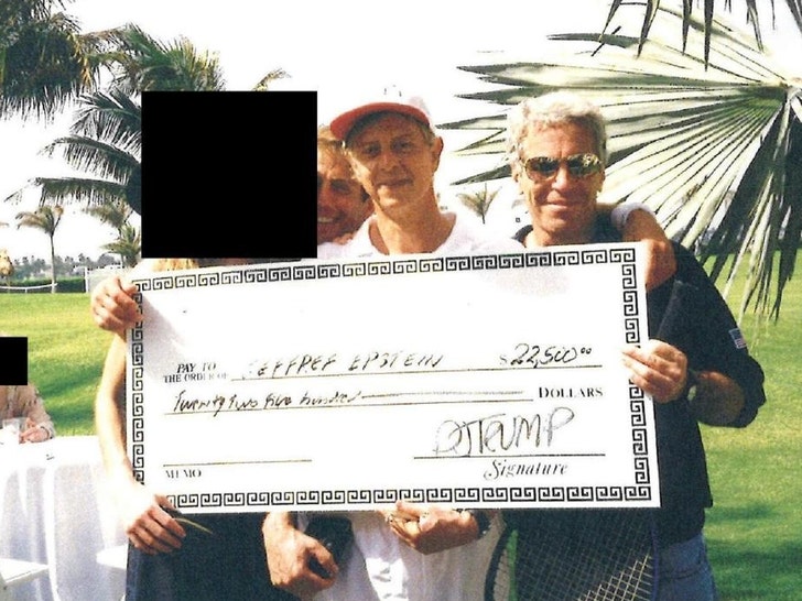 trump check epstein