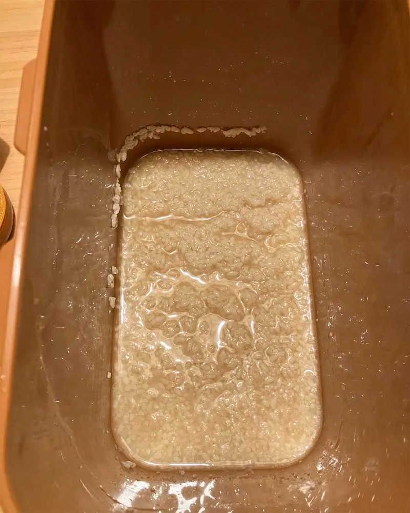Rice Koji soaking in water.