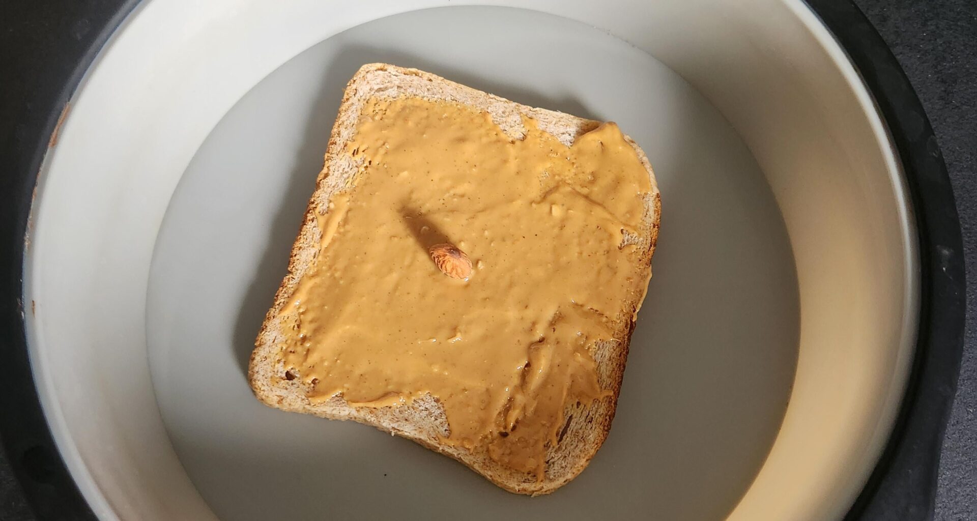 Update tartine