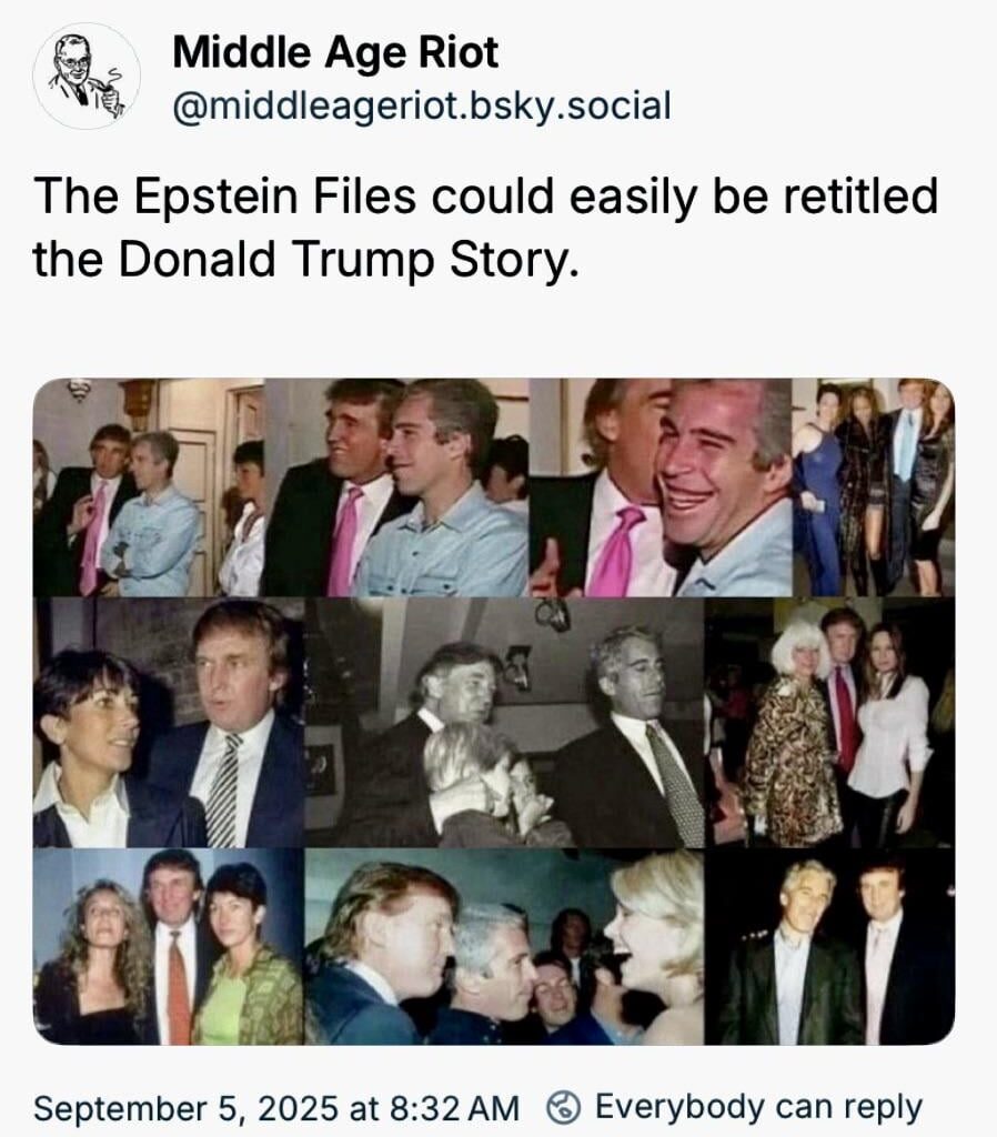 Someone should retitle the Epstein Files to The Donald Trump Story: How to Screw Everything Up and Still Brag About It. 🍊🤡