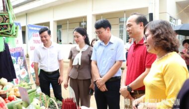 Vietnam.vn - Nền tảng quảng bá Việt Nam