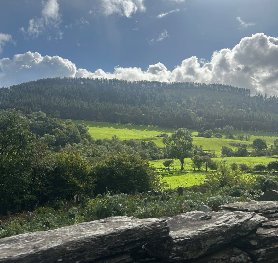 Took these at Dinas Mawddwy last weekend!