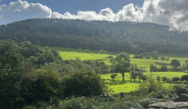 Took these at Dinas Mawddwy last weekend!
