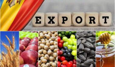 EU stays main partner, new markets open in Middle East