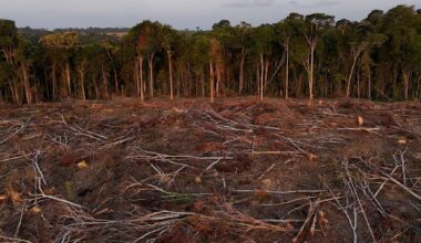 EU to delay anti-deforestation law by another year