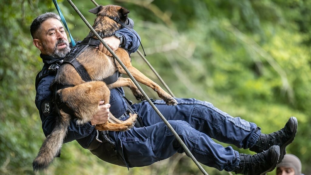 RTL Today - Canine training: Luxembourg police dogs invited to international training day