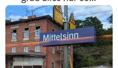 Ich_iel