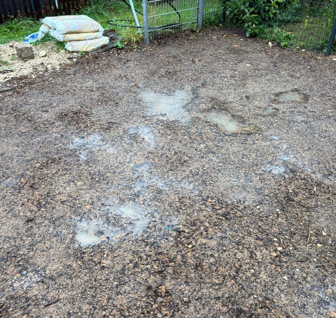 Staunässe in neuem Rasen