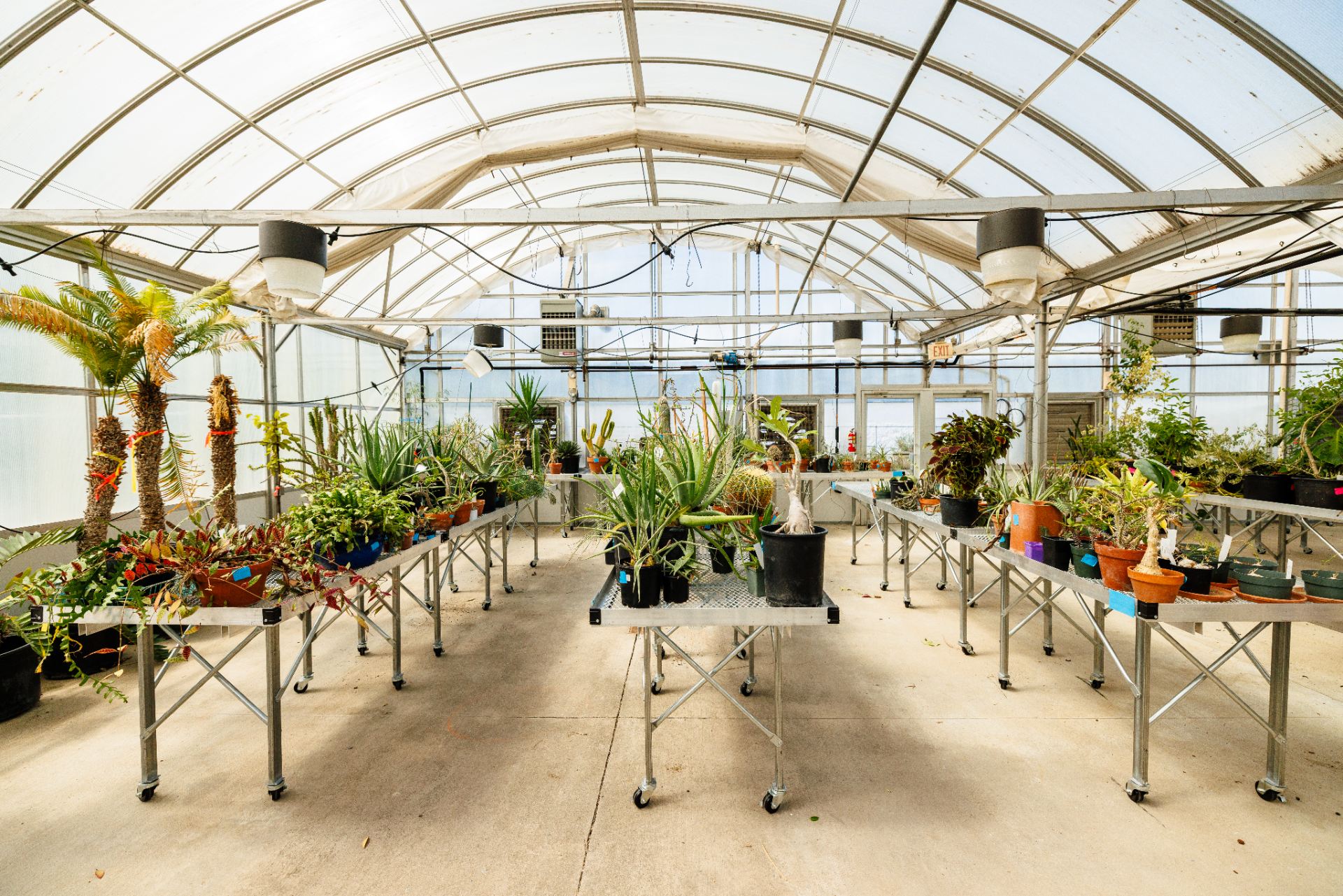 wide shot of a greenhouse