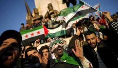 Syria war: Fall of Damascus appears to align with long-time goals of neighbour Turkiye