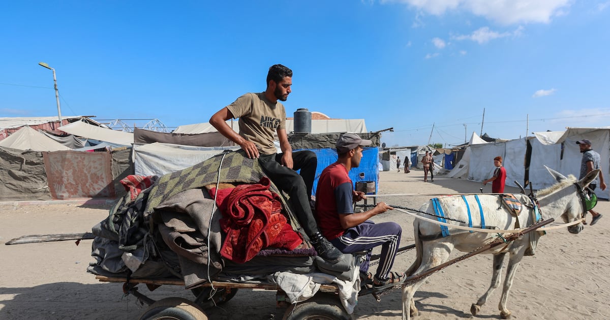 'No food, no drink, no water': Misery in the south for refugees from Gaza city