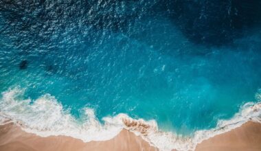Questions and answers on the new 2028-2034 budget proposal – fisheries, aquaculture and ocean-related activities