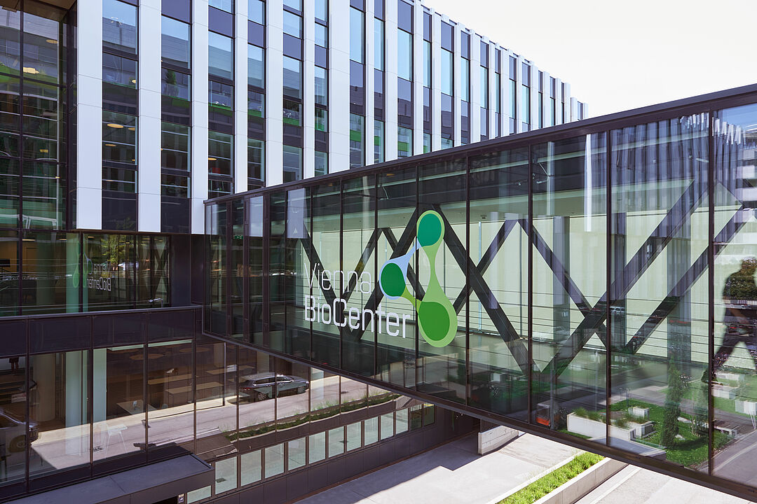 Austria’s innovative life sciences scene: watch out for these companies, start-ups, and spin-offs