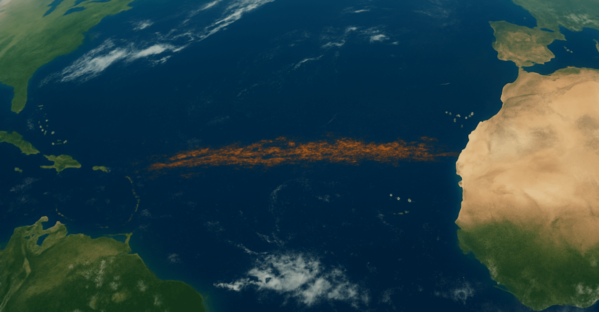 Scientists Alarmed by a Mysterious 8,850-Kilometer Belt Forming in the Atlantic: "It's Not a Good Sign"