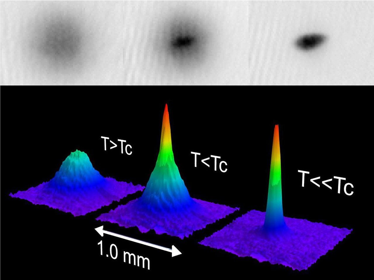 A two-part image illustrating the formation of a Bose-Einstein Condensate (BEC). The top row shows three grayscale images of atomic clouds, transitioning from a broad, diffuse cloud on the left to a small, dense spot on the right. The bottom row presents three corresponding 3D false-color plots of atomic density. From left to right, these plots show a smooth, low peak at "T>Tc" (temperature above critical), a taller, sharper peak emerging at "T