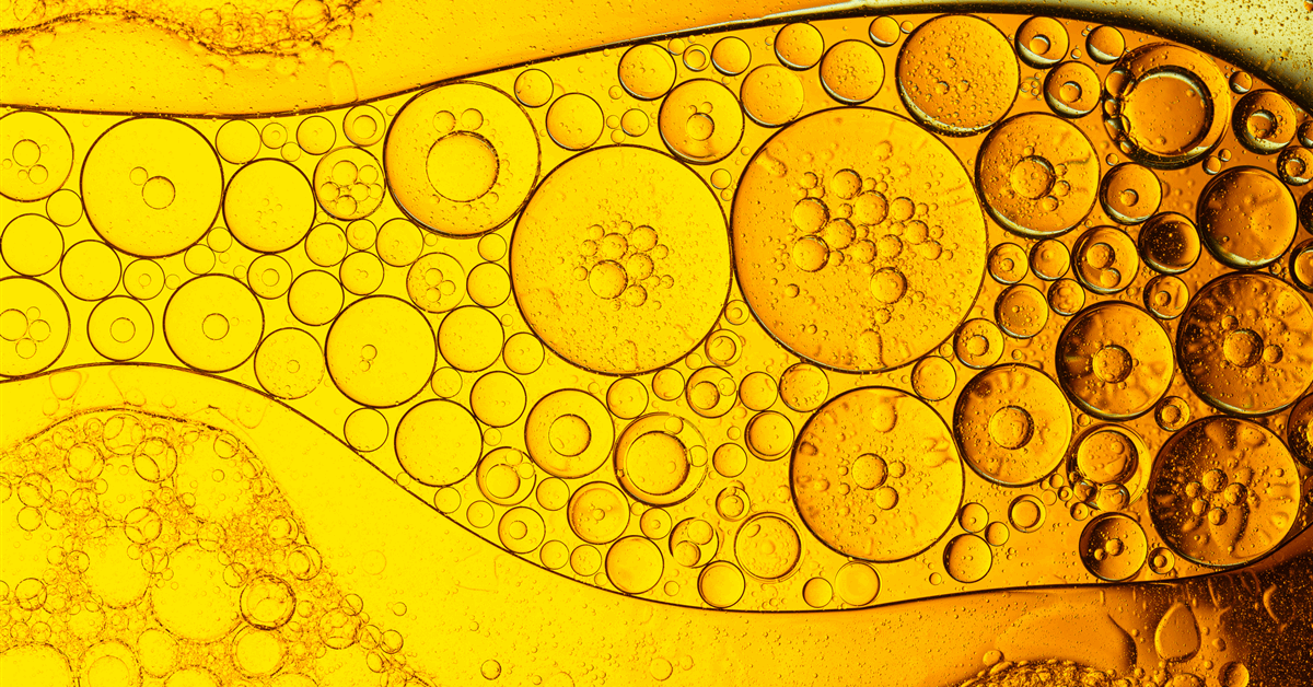 BP Halts Plans to Build Biofuels Plant in the Netherlands