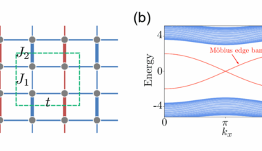 Projective Crystal Symmetry Reveals Topological Phases and Momentum-space Nonsymmorphic Symmetry