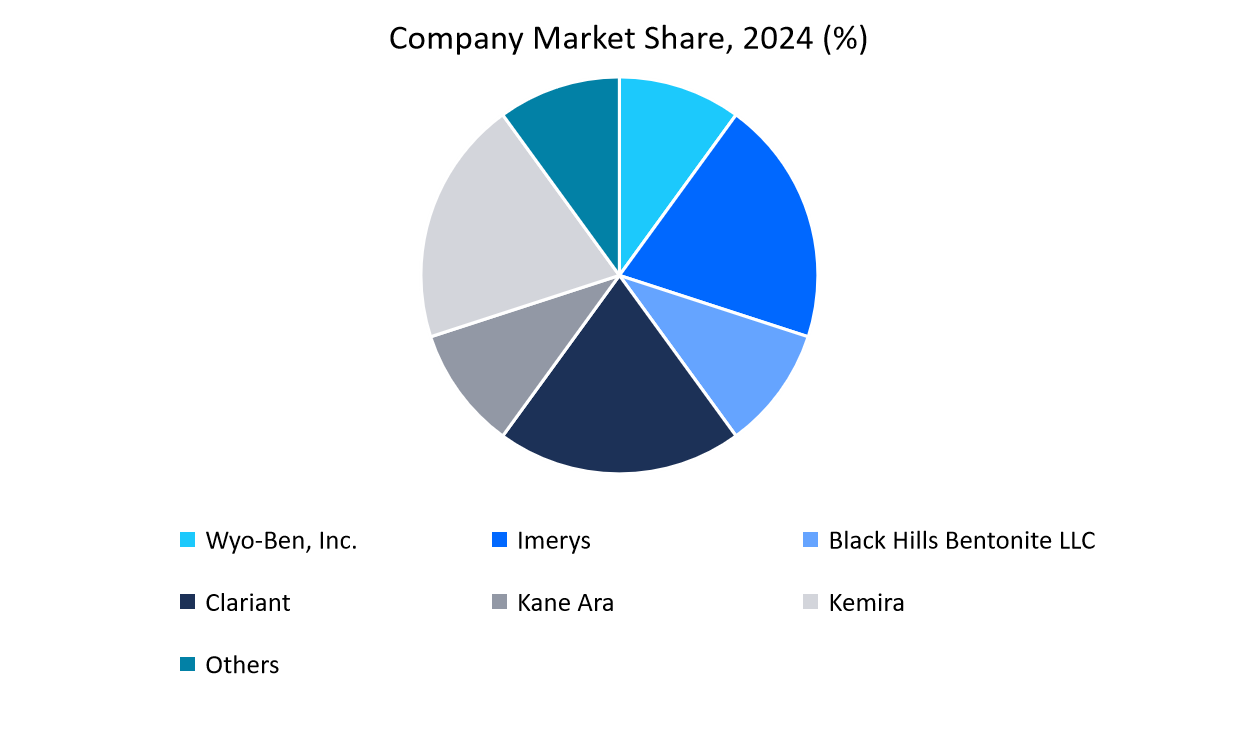 Company-Market-Share-2024