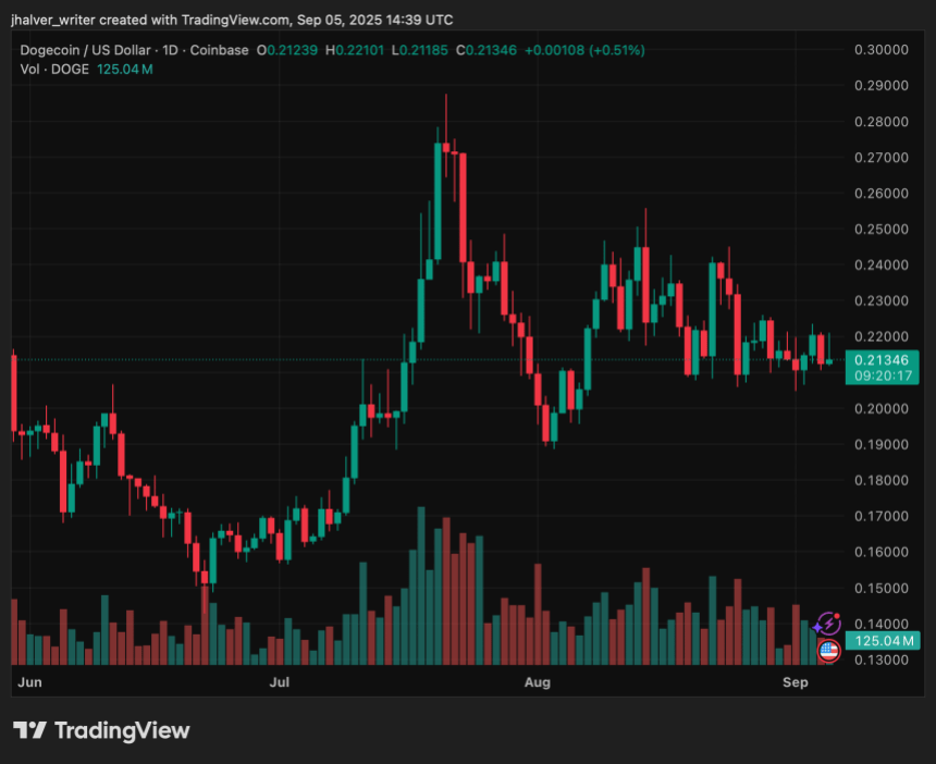 Dogecoin DOGE DOGEUSD