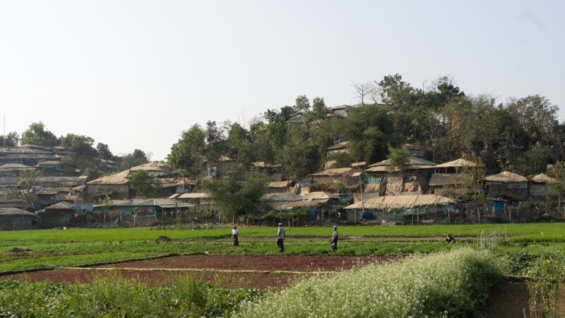 Rohingya settlement
