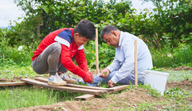 The Community Gardens Where Refugees Are Putting Down Roots