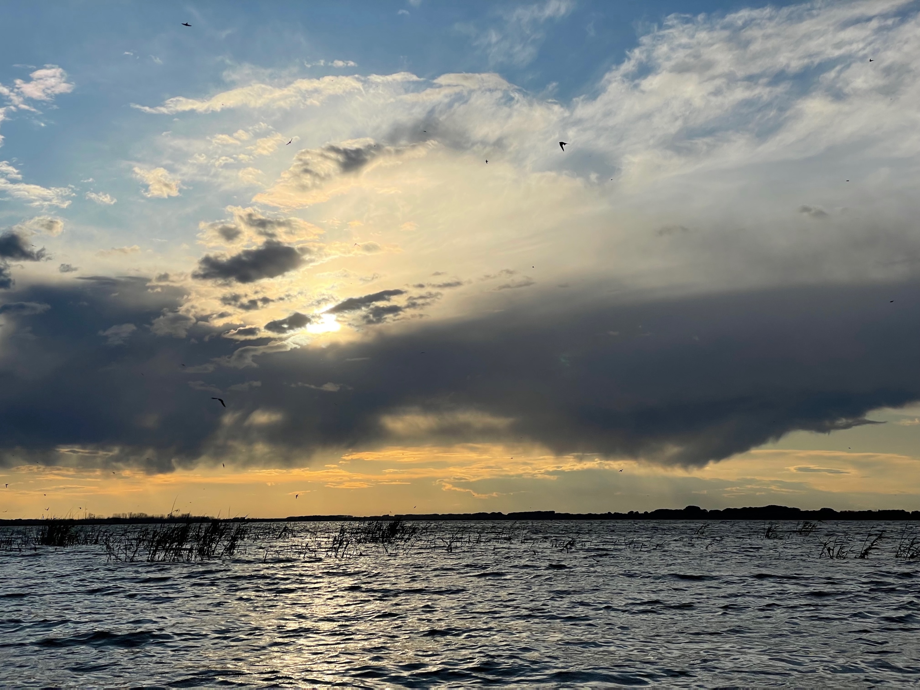 Sunset on Lake Gorgova, Danube Delta