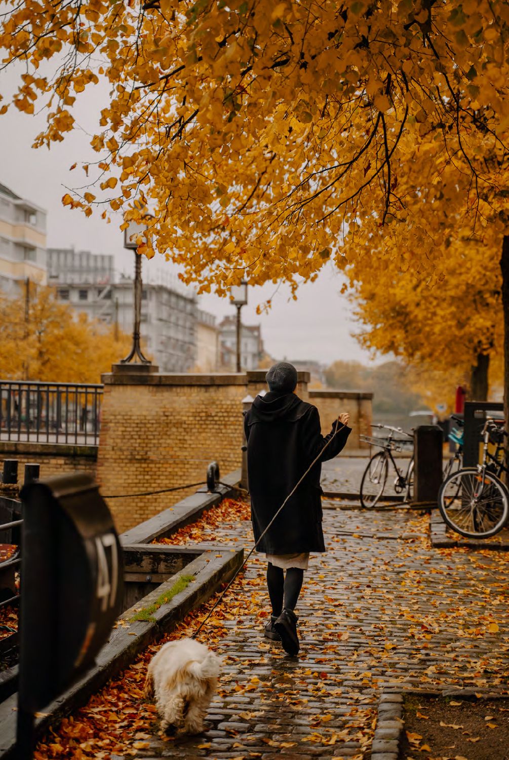 Image may contain Autumn Person Clothing Footwear Shoe Animal Canine Dog Mammal Pet Bicycle and Transportation