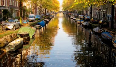 Mild, mostly sunny weather across the Netherlands this week