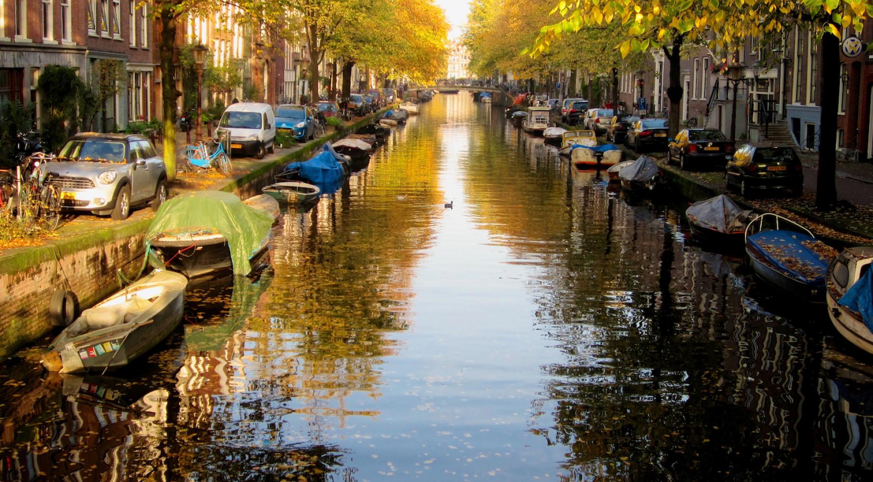 Mild, mostly sunny weather across the Netherlands this week
