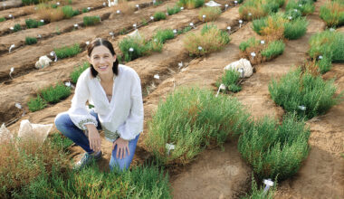 Food production faces climate change challenge