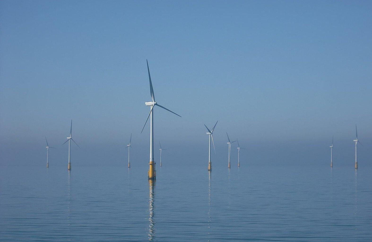 Trump Is Trying to Kill Renewables Everywhere | The US government is trying to strangle renewables to save fossil fuels. Trump wants other countries to do the same.