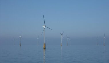 Trump Is Trying to Kill Renewables Everywhere | The US government is trying to strangle renewables to save fossil fuels. Trump wants other countries to do the same.