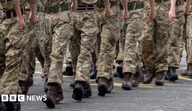 Army pulls out of jobs fair after political row