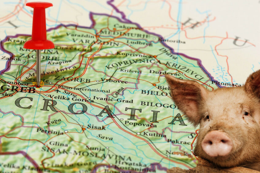 Since June 2023, when ASF first emerged in Croatia, the country has reportedly lost more than 51,000 pigs to ASF. Photo: Canva