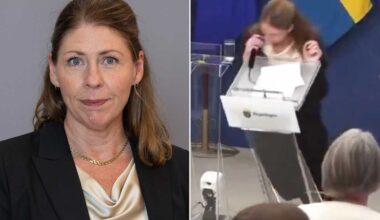 Sweden's New Health Minister Elisabet Lann Collapses on Stage