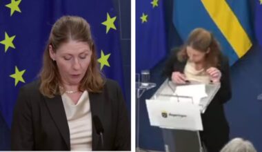Sweden's newly appointed Health Minister Elisabet Lann collapsed in the middle of a press conference, due to low blood sugar