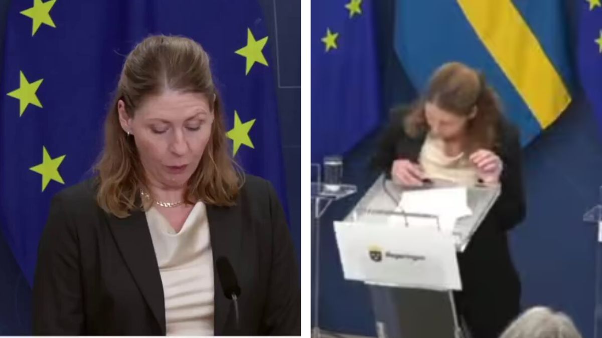 Sweden's newly appointed Health Minister Elisabet Lann collapsed in the middle of a press conference, due to low blood sugar