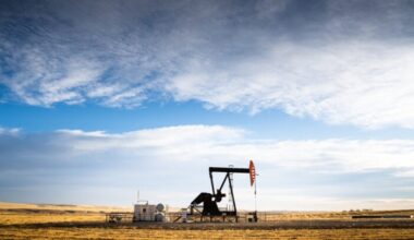 Borders & Southern Petroleum Announces Warrant Exercise and Share Capital Update