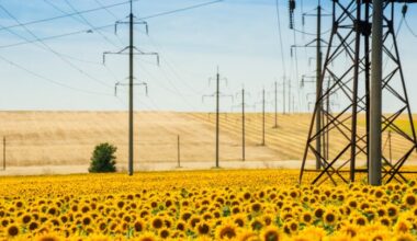 Permex Petroleum Expands into Bitcoin Mining with New Asset Acquisition