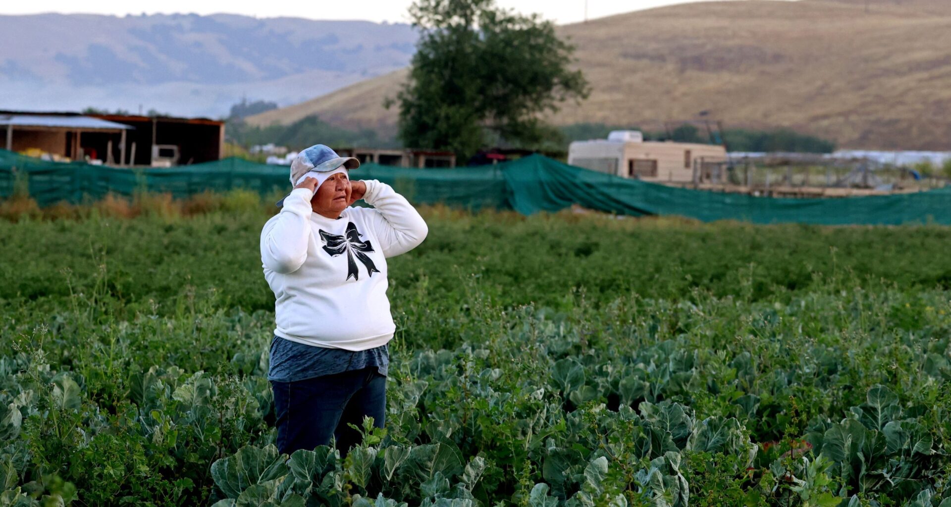 Farmers push for reform as Trump's immigration crackdown continues