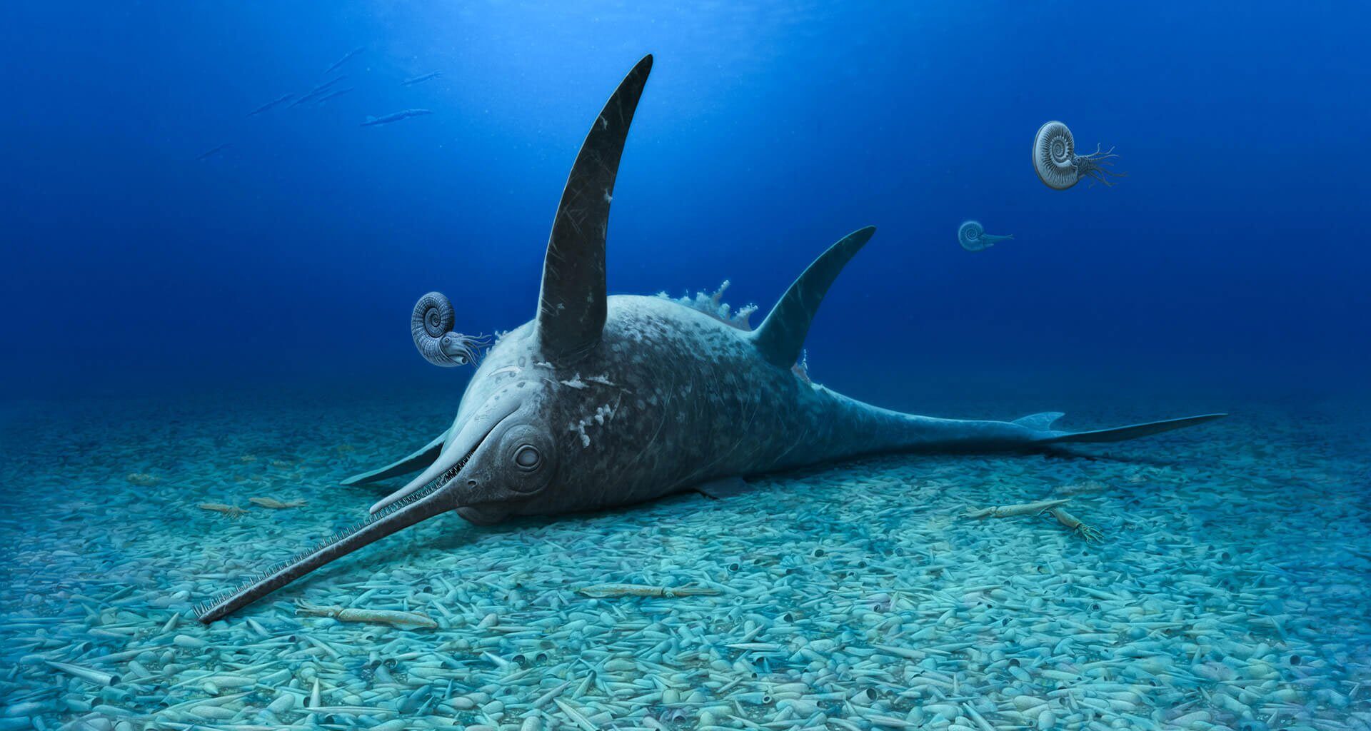 Eurhinosaurus mistelgauensis Artist